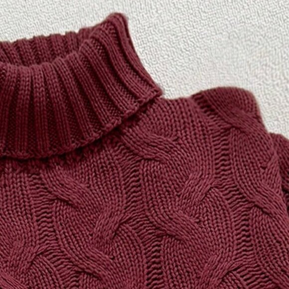 Burgundy Casual Women's Comfortable Twisted Rope print Textured highneck sweater - Picture 5 of 5